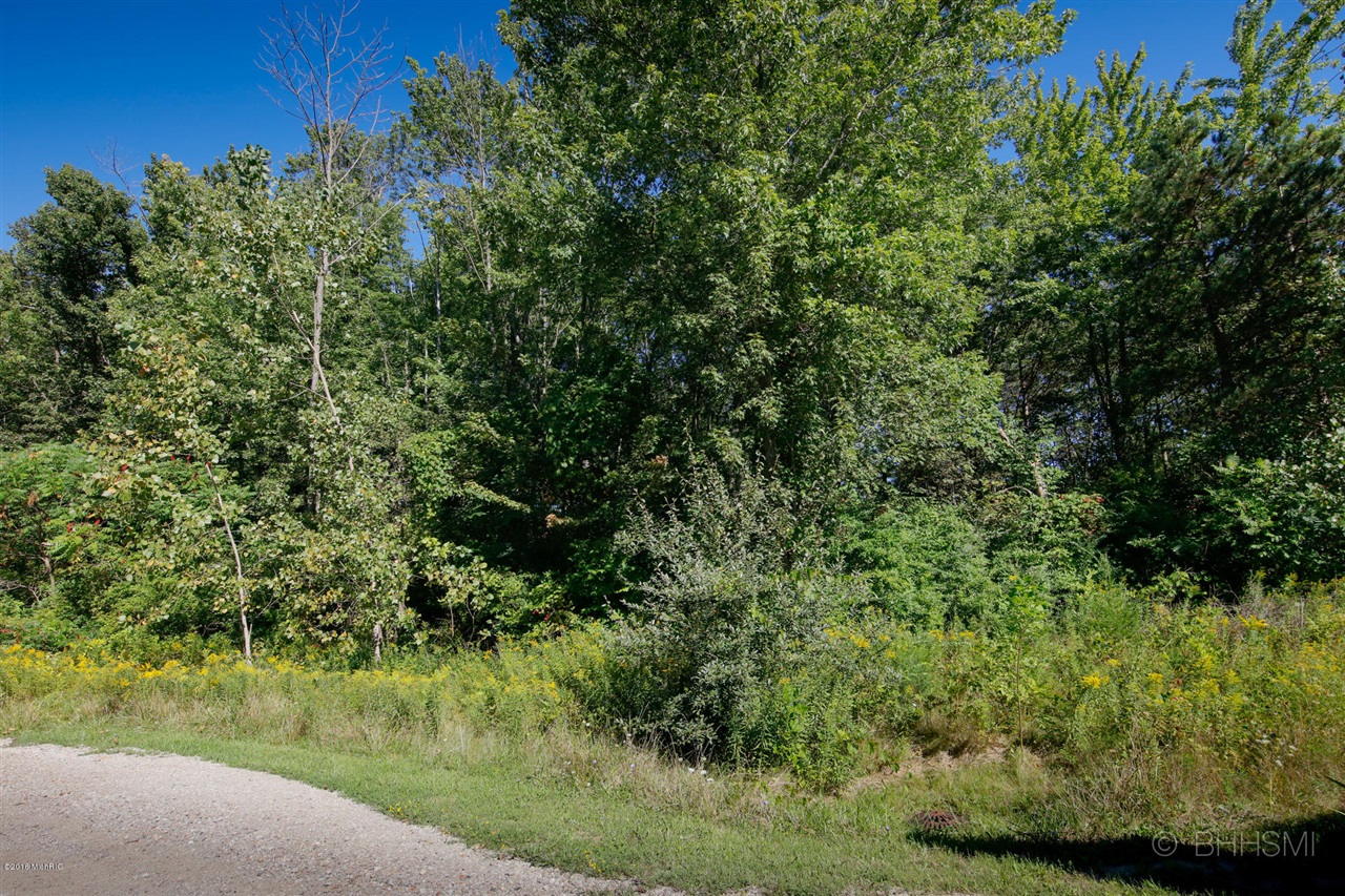 Maple Street, South Haven, MI, 49090