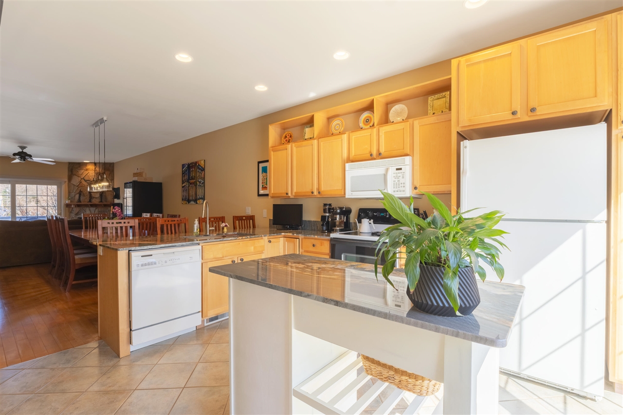 717 Water Street UNIT&nbsp;4, Saugatuck, MI, 49453-8442