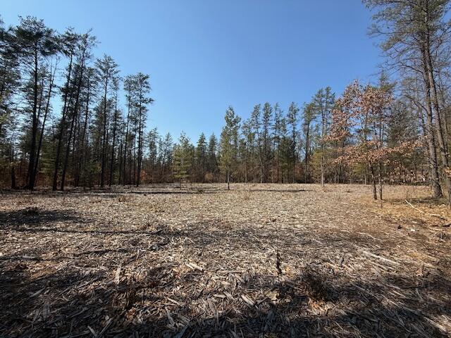 5209 S Nelson Road, Idlewild, MI, 49642