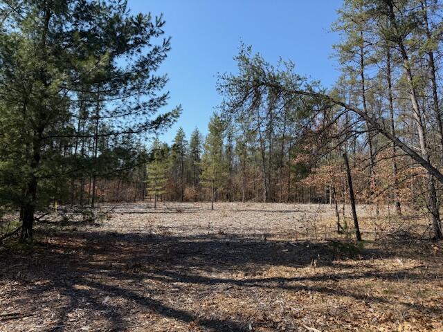 5209 S Nelson Road, Idlewild, MI, 49642