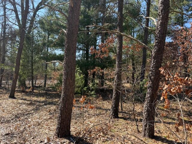 5209 S Nelson Road, Idlewild, MI, 49642