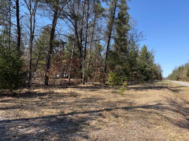 5209 S Nelson Road, Idlewild, MI, 49642