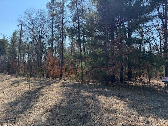 5209 S Nelson Road, Idlewild, MI, 49642