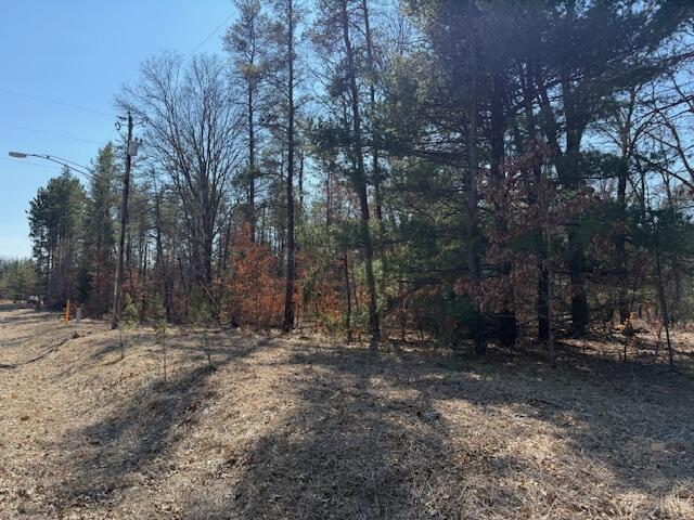 5209 S Nelson Road, Idlewild, MI, 49642