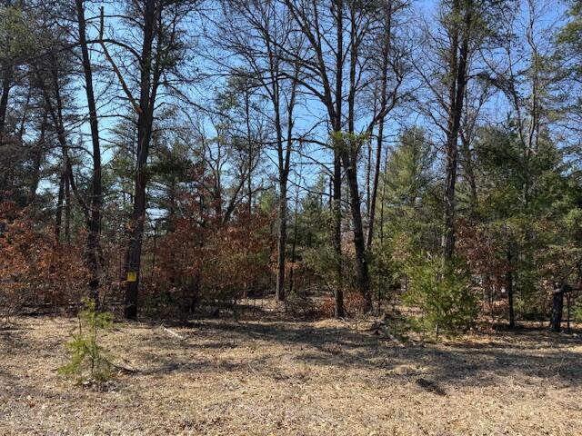 5209 S Nelson Road, Idlewild, MI, 49642