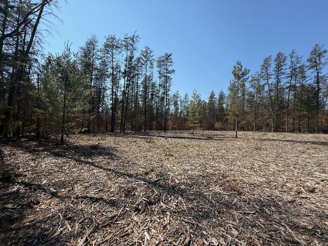 5209 S Nelson Road, Idlewild, MI, 49642