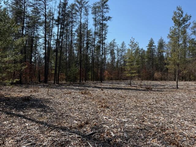 5209 S Nelson Road, Idlewild, MI, 49642