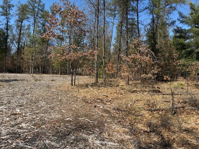 5209 S Nelson Road, Idlewild, MI, 49642