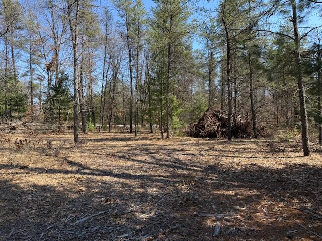 5209 S Nelson Road, Idlewild, MI, 49642