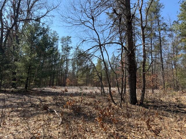 5209 S Nelson Road, Idlewild, MI, 49642