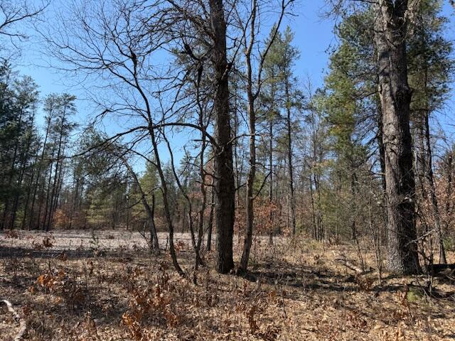 5209 S Nelson Road, Idlewild, MI, 49642