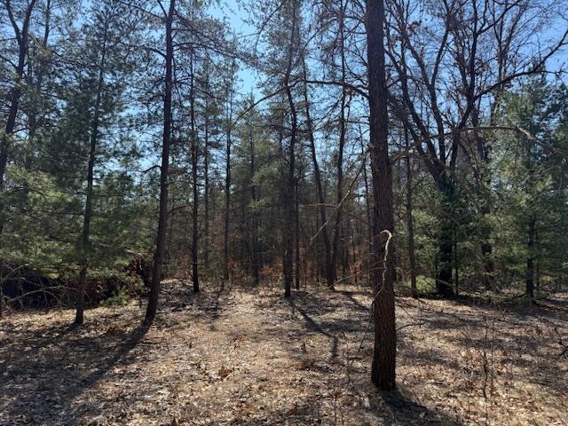 5209 S Nelson Road, Idlewild, MI, 49642