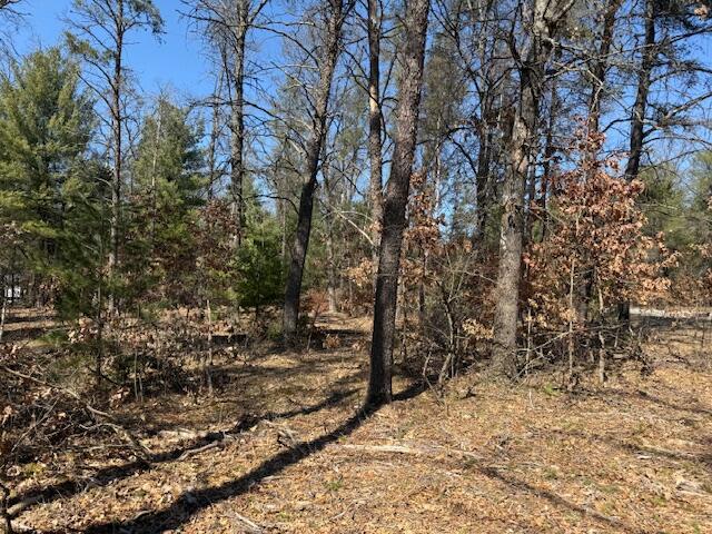 5209 S Nelson Road, Idlewild, MI, 49642