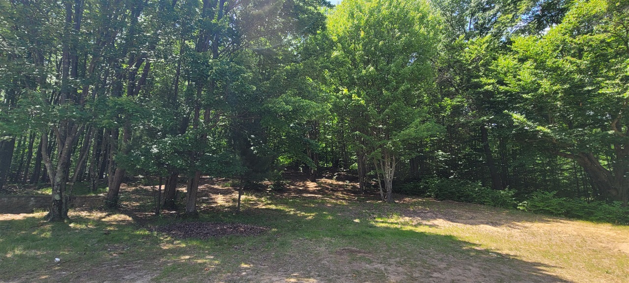 Homes for sale in Custer, MI | 4551 Deer Cove Rd, Custer, MI 49405 | MLS# 70523844