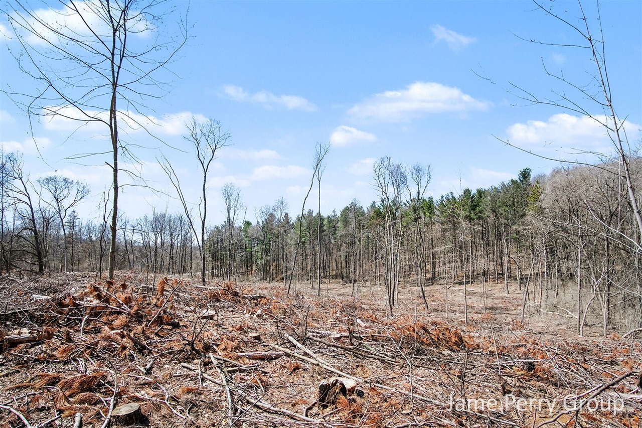 80 W Holland Lake Road, Sheridan, MI, 48884