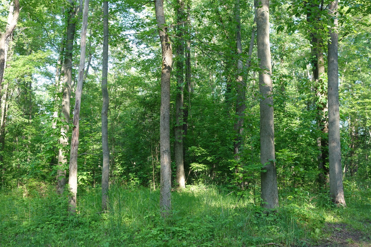 301 Garfield Avenue, Marquette, MI, 49855