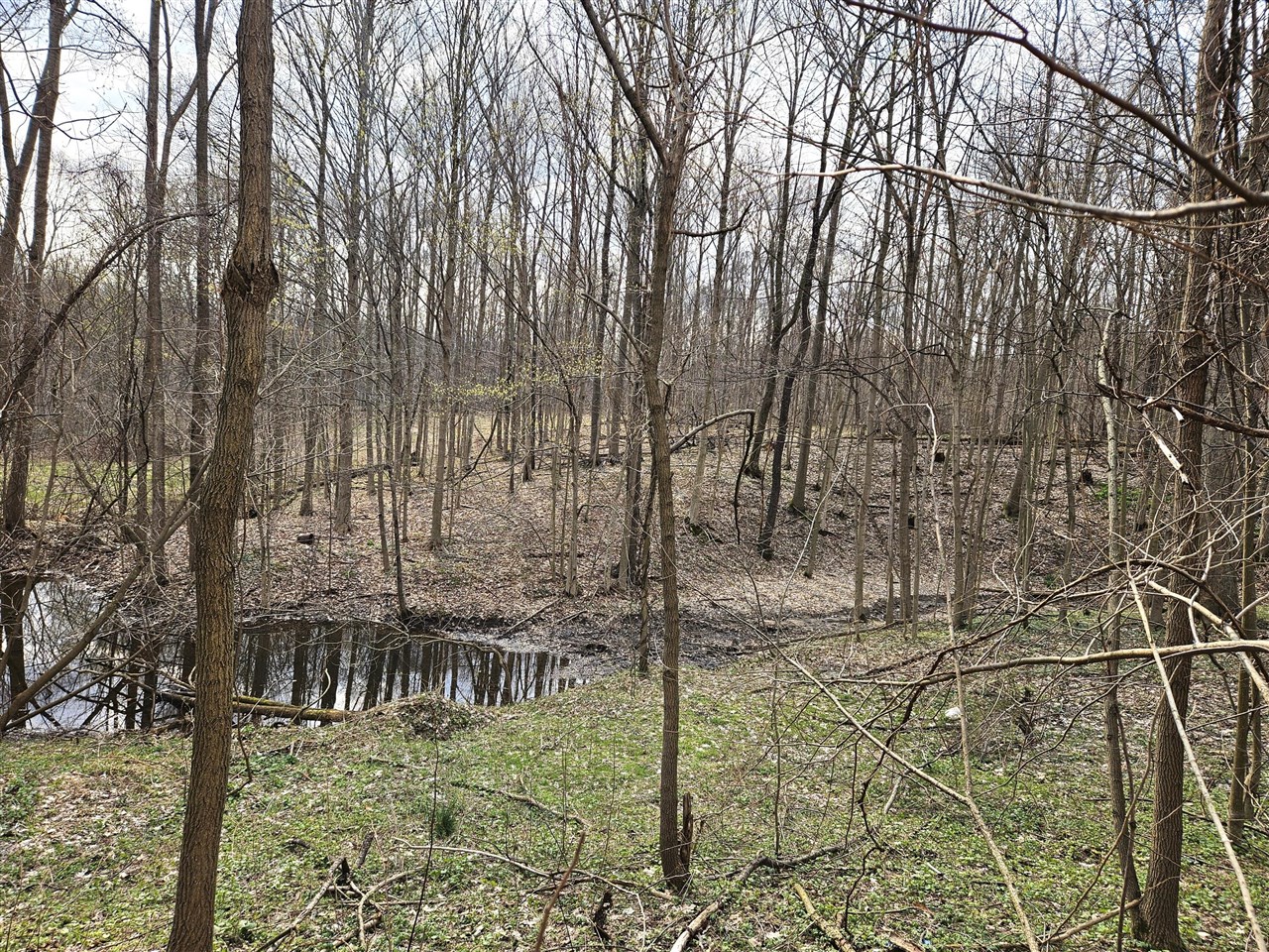 52561 38th Avenue, Bangor, MI, 49013