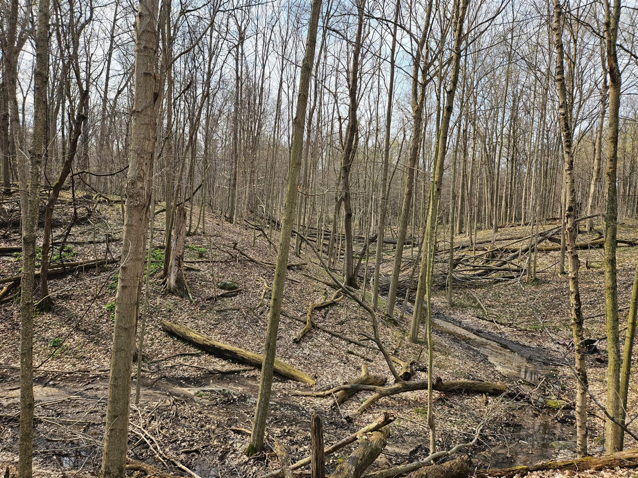 52561 38th Avenue, Bangor, MI, 49013