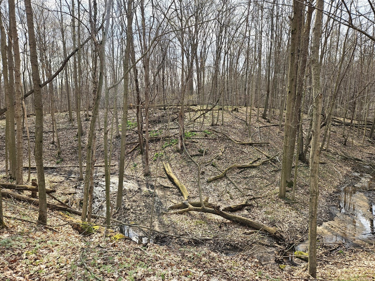 52561 38th Avenue, Bangor, MI, 49013