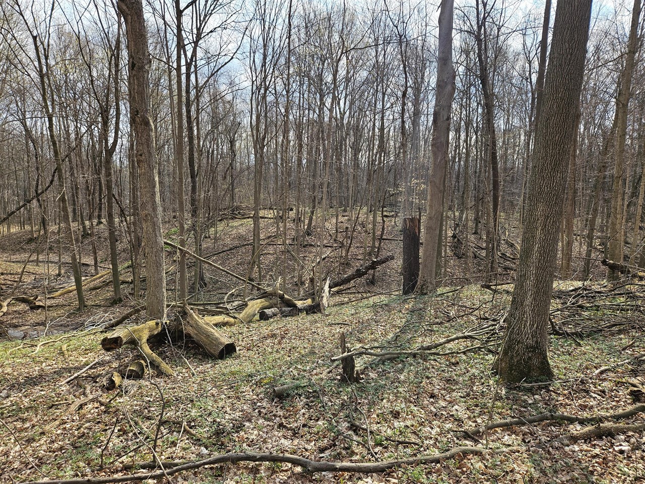 52561 38th Avenue, Bangor, MI, 49013