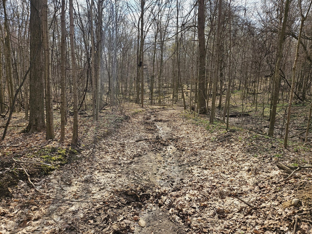 52561 38th Avenue, Bangor, MI, 49013