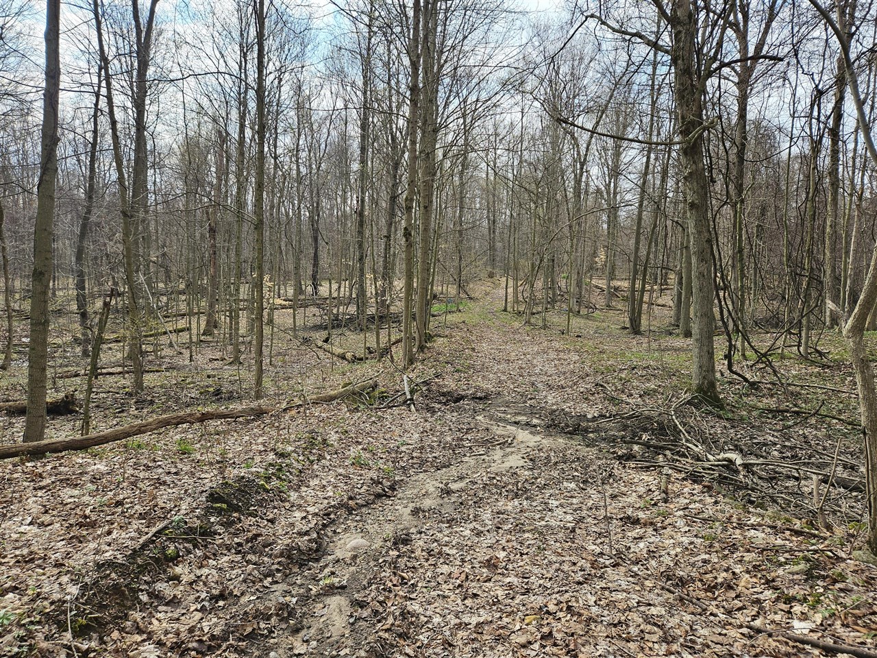 52561 38th Avenue, Bangor, MI, 49013