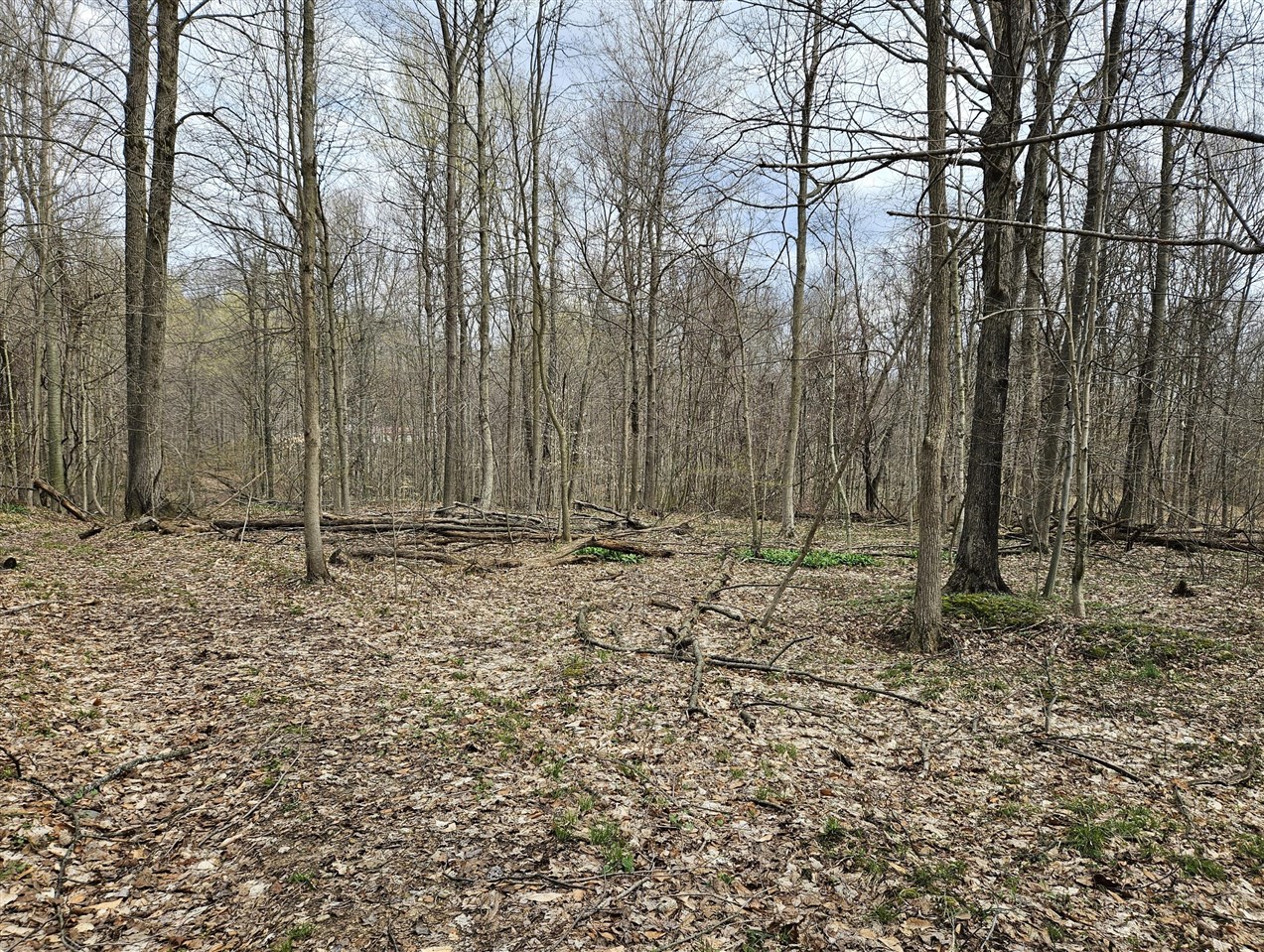 52561 38th Avenue, Bangor, MI, 49013