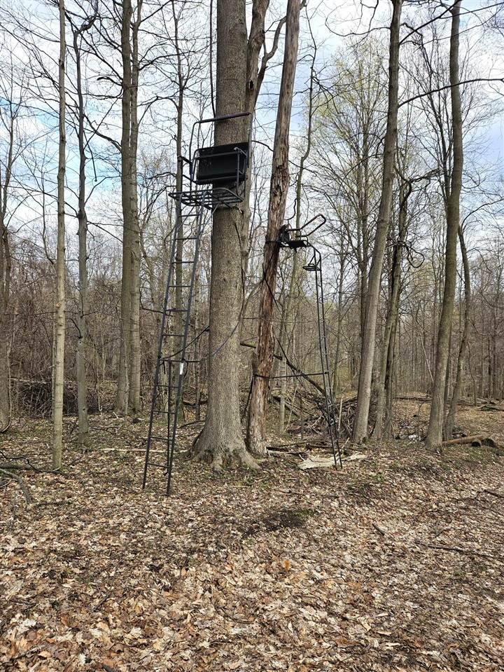 52561 38th Avenue, Bangor, MI, 49013