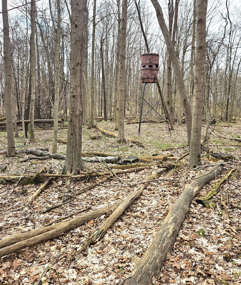 52561 38th Avenue, Bangor, MI, 49013