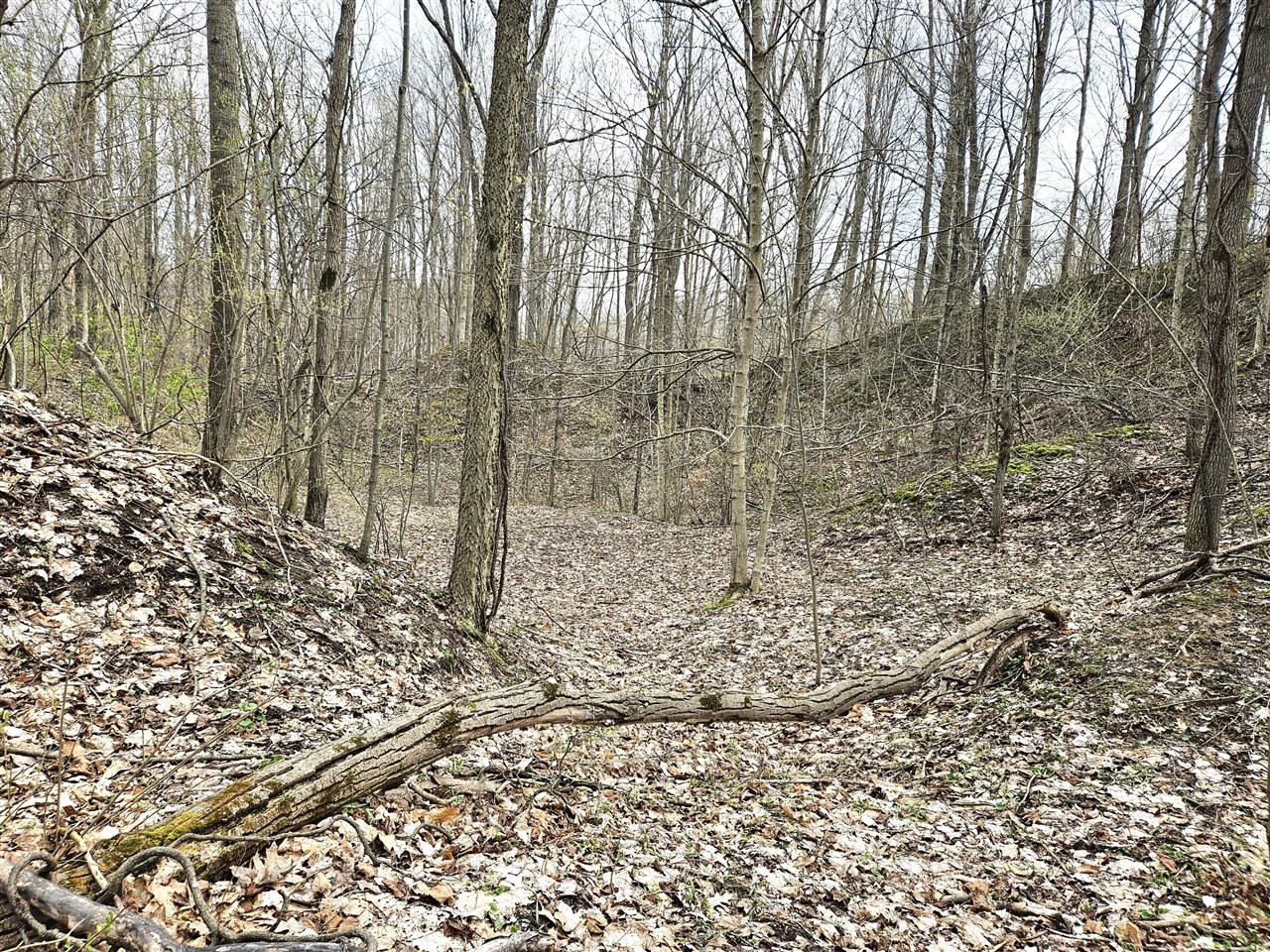 52561 38th Avenue, Bangor, MI, 49013