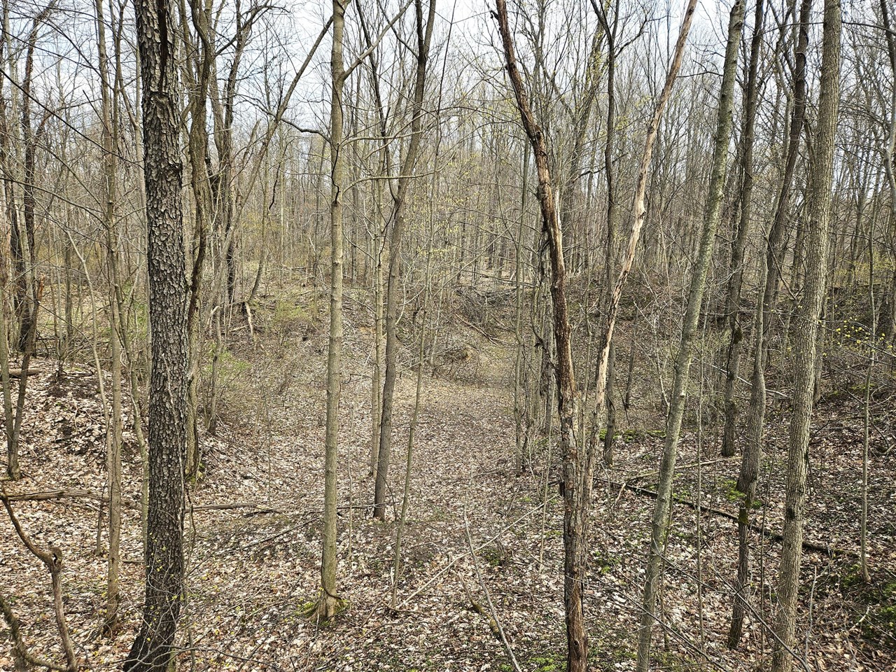 52561 38th Avenue, Bangor, MI, 49013