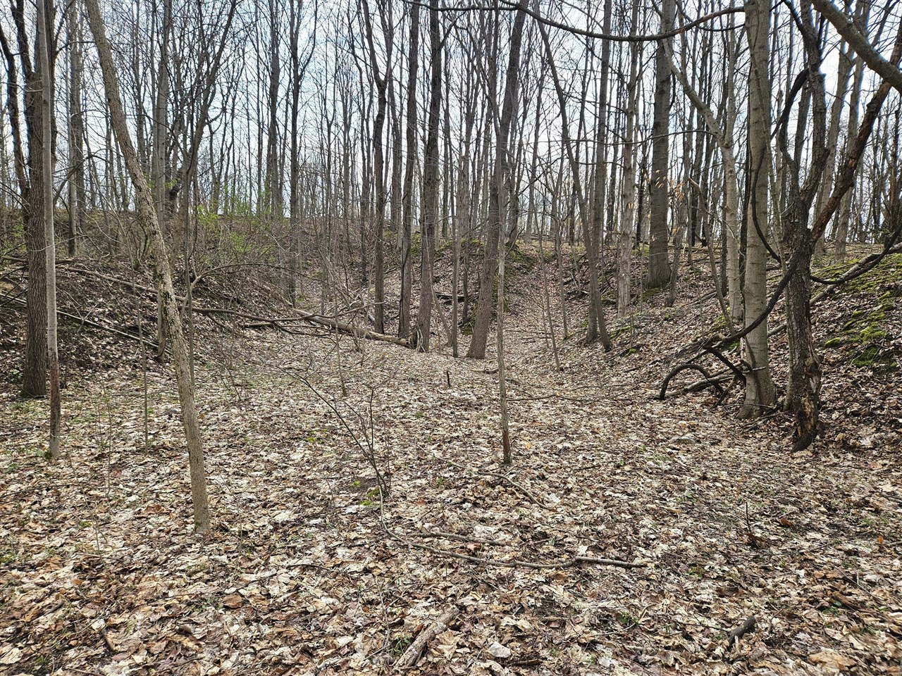 52561 38th Avenue, Bangor, MI, 49013