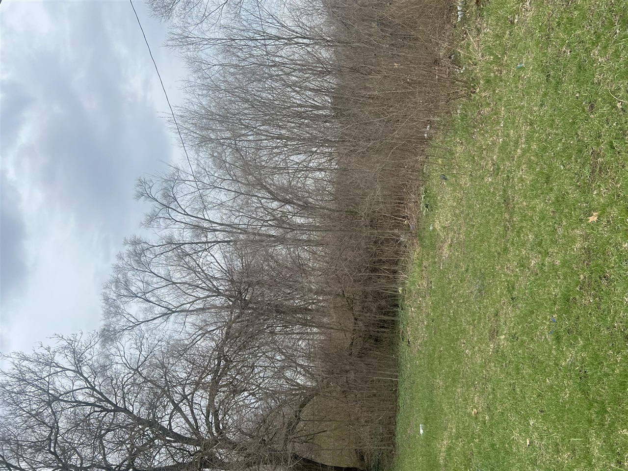 7000 Surrey Drive, Onsted, MI, 49265