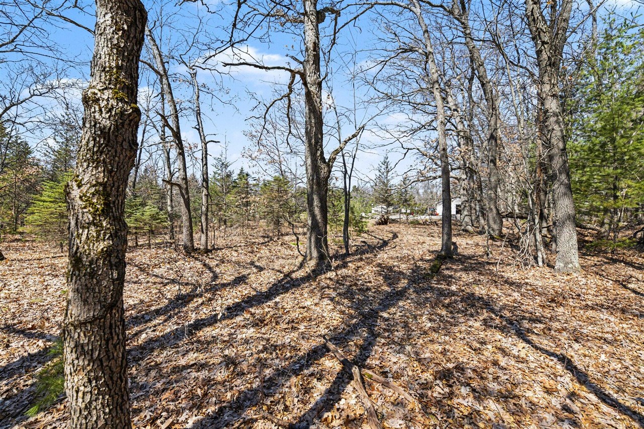 14481 N Coates Highway, Brethren, MI, 49619-9616