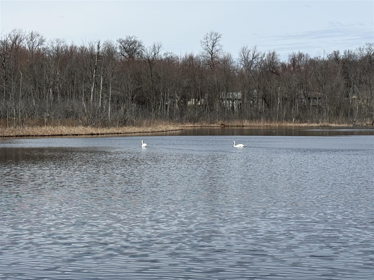 6150 Willow Road, West Bloomfield, MI, 48324-2177