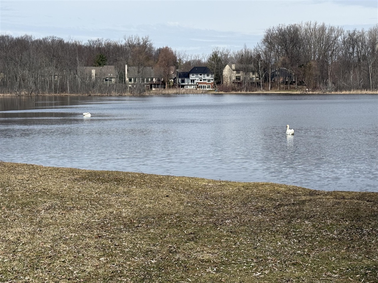 6150 Willow Road, West Bloomfield, MI, 48324-2177