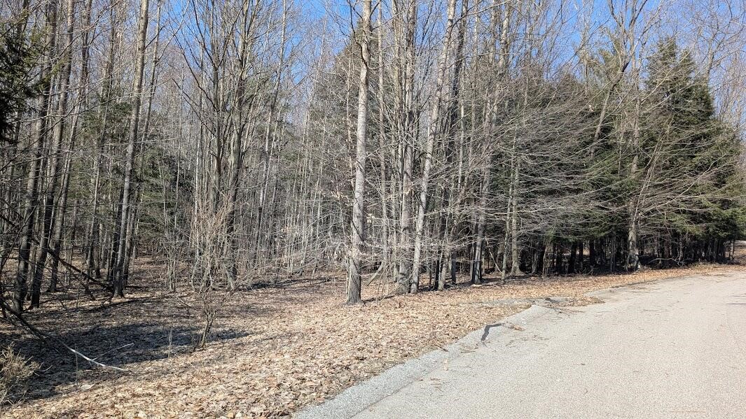 Opal Ridge Drive, Onekama, MI, 49675