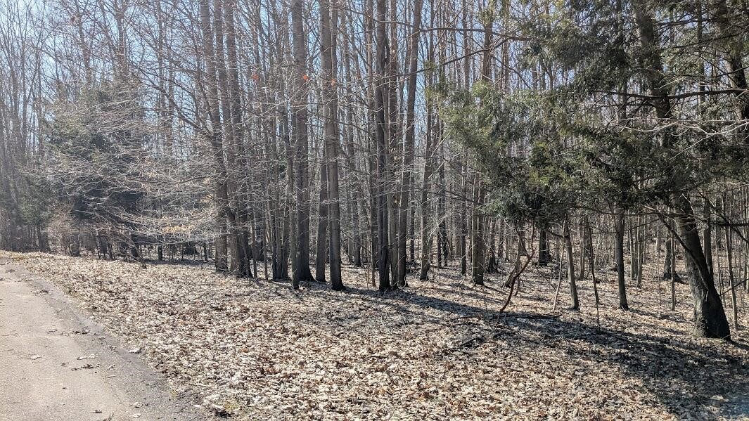 Opal Ridge Drive, Onekama, MI, 49675