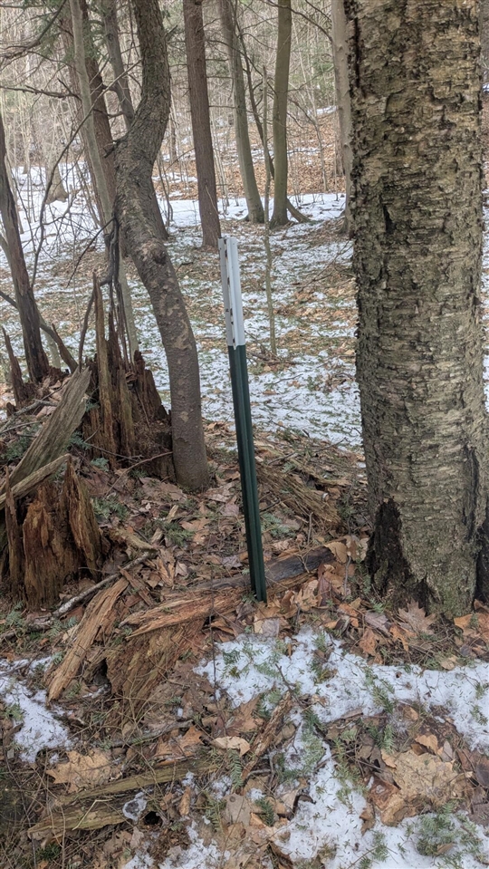 Opal Ridge Drive, Onekama, MI, 49675