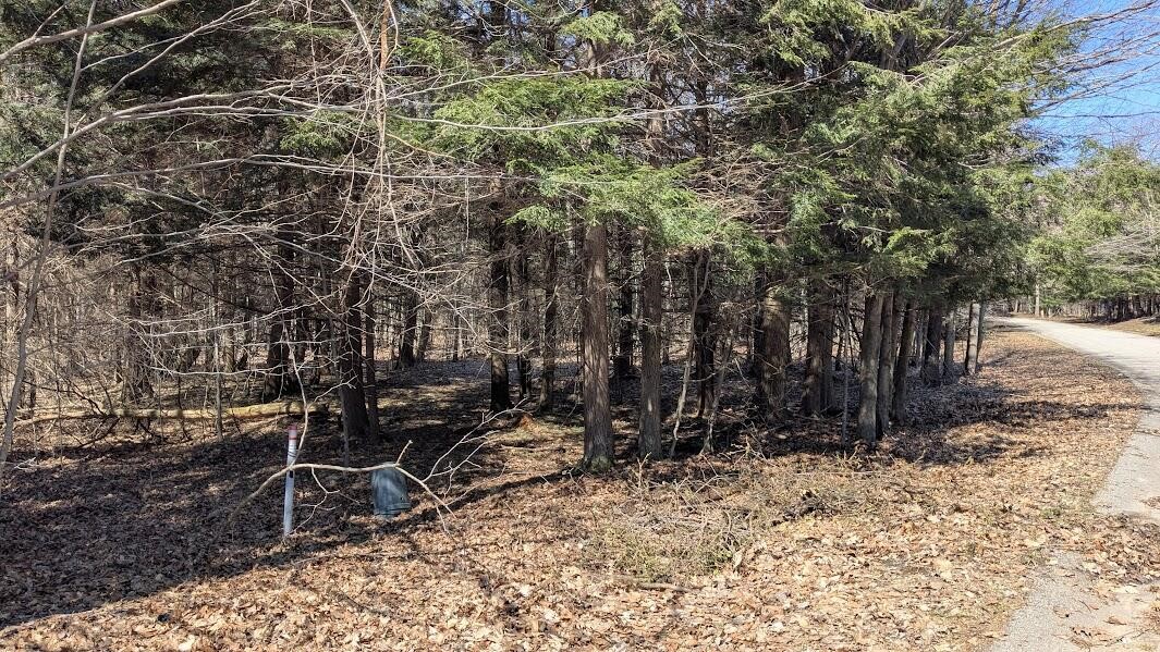 Opal Ridge Drive, Onekama, MI, 49675