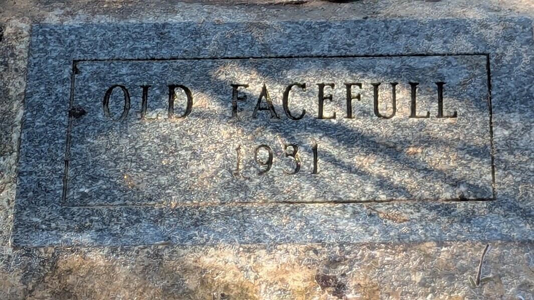 Opal Ridge Drive, Onekama, MI, 49675