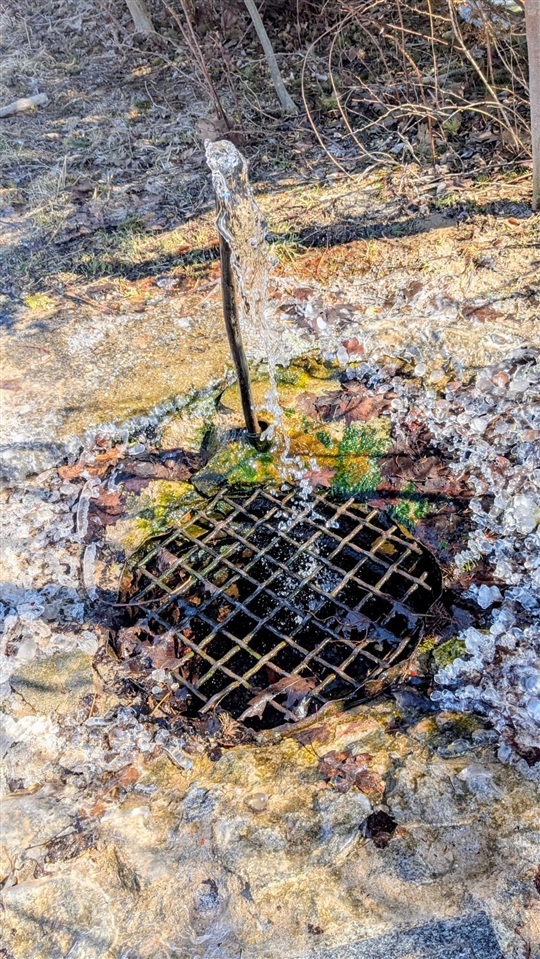 Opal Ridge Drive, Onekama, MI, 49675