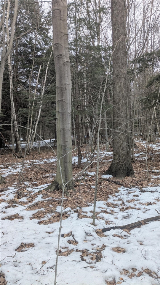 Opal Ridge Drive, Onekama, MI, 49675