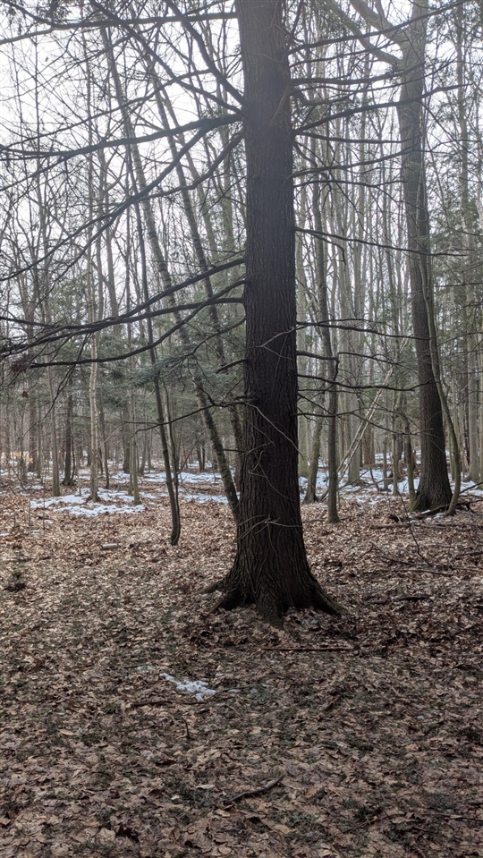 Opal Ridge Drive, Onekama, MI, 49675