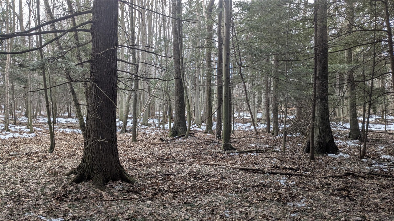 Opal Ridge Drive, Onekama, MI, 49675