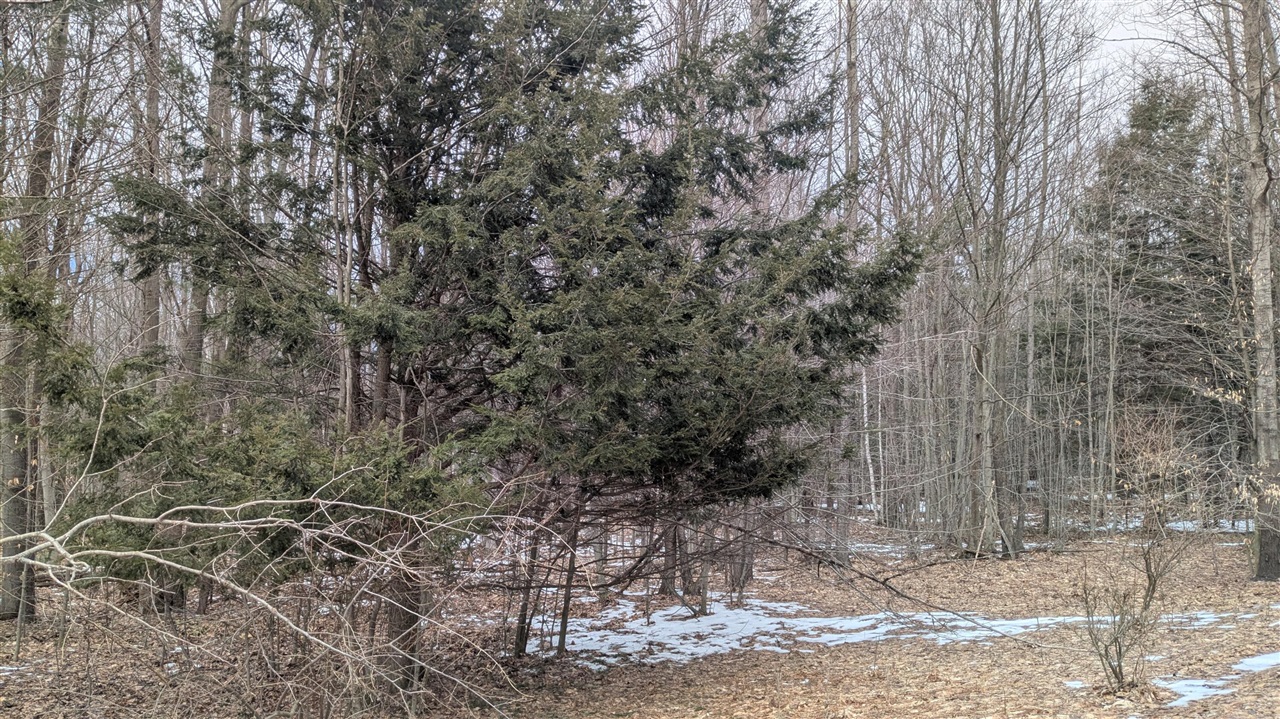 Opal Ridge Drive, Onekama, MI, 49675