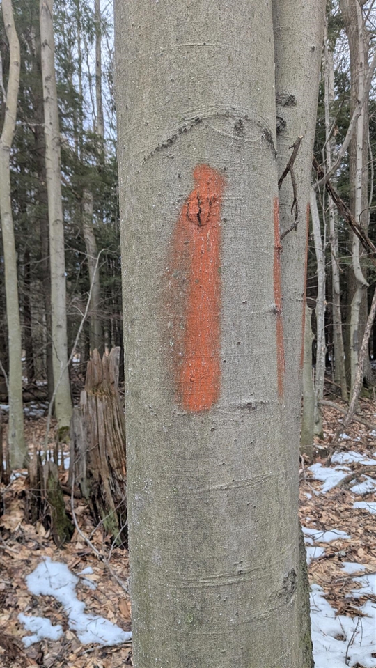 Opal Ridge Drive, Onekama, MI, 49675