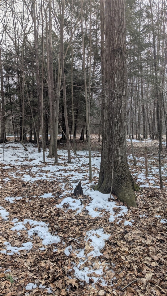 Opal Ridge Drive, Onekama, MI, 49675