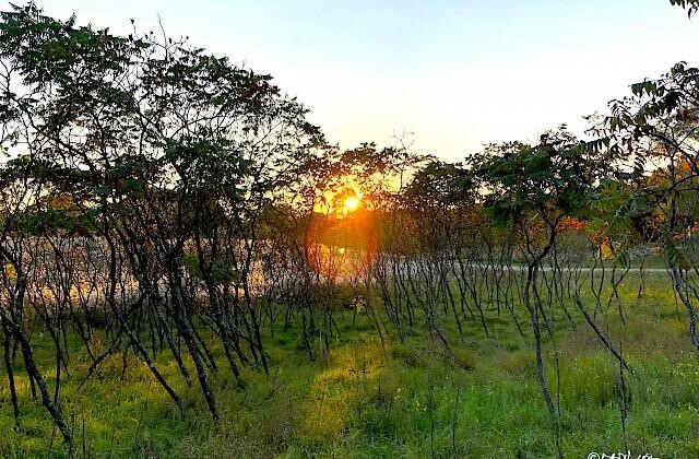 5033 Red Fox Run, Ann Arbor, MI, 48105-9530