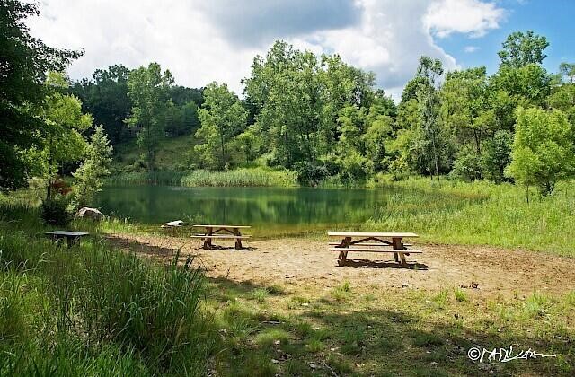 5033 Red Fox Run, Ann Arbor, MI, 48105-9530